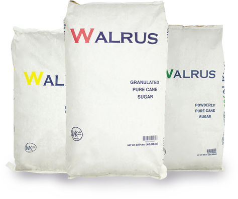 sacos-walrus-h